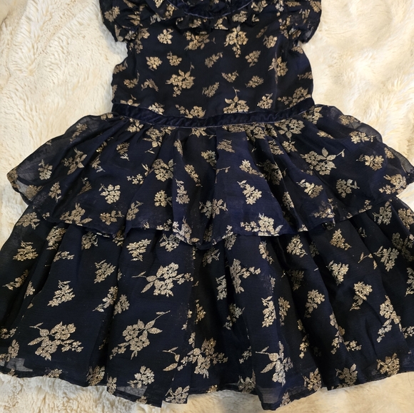 Janie and Jack Girl Dark Marine Glitter Floral Chiffon Dress - Picture 6 of 9